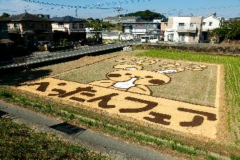 令和5年度田んぼアート