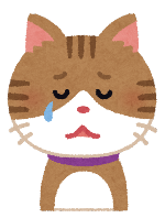 猫の泣き顔