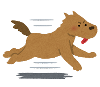走る犬
