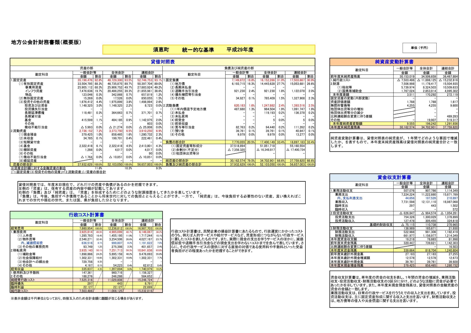 平成29年度財務書類(概要版)