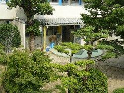 沢山の木々が立っている中庭の写真