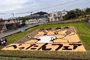田んぼアート