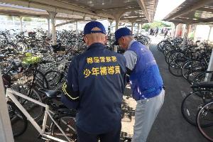 活動の様子