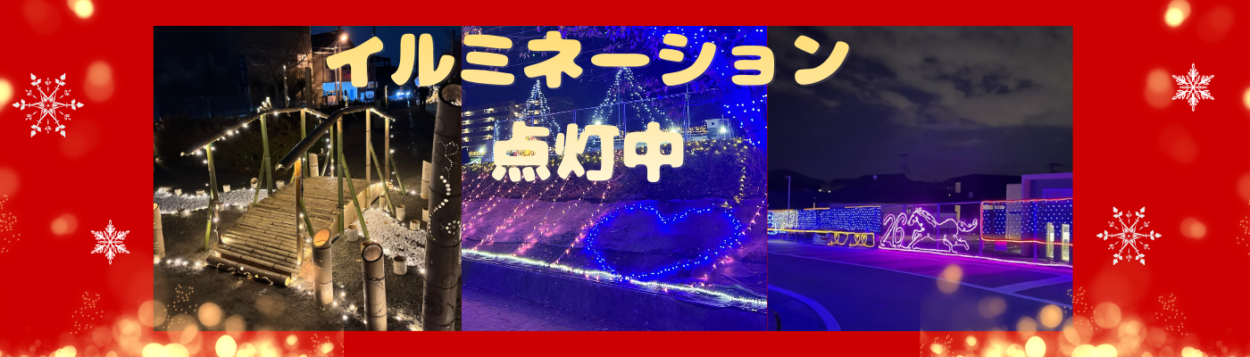 令和7年度イルミネーション点灯