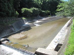 両側に緑の木陰があるきれいに舗装された流水プールの全体を写した写真