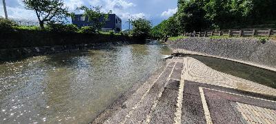 河川プールの下流の写真