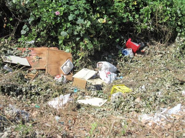 草むらにコンテナや板、ビニール袋など沢山のゴミが捨てられている写真