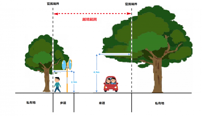 建築限界の範囲を表現したイメージ図