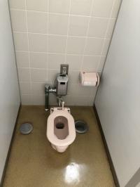 ピンク色の便座の洋式トイレの写真