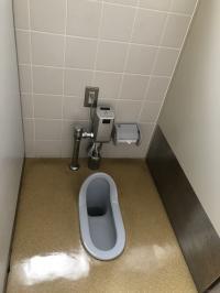 水色の便座の和式のトイレの写真