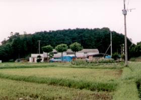 田んぼの奥に見える史跡と乙植木天満宮を南から見た写真