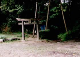 緑の中に小さな鳥居がたたずむ守母神社を遠景で写した写真