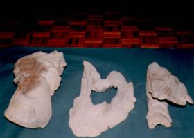 白っぽい木造で出来た様な置物が3つ並べて置かれている、三体の佐谷建正寺に伝わる仏像の写真