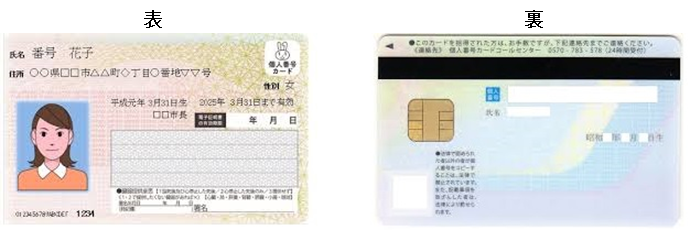 左：マイナンバーカード表見本、右：マイナンバーカード裏見本